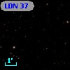LDN   37