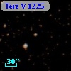 Terz V 1225