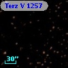 Terz V 1257