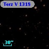 Terz V 1318