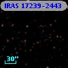 IRAS 17239-2443