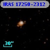 IRAS 17250-2312