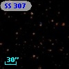 SS 307