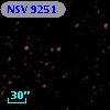 NSV  9251