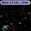 IRAS 17318-2338