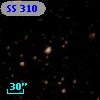 SS 310