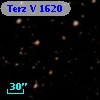 Terz V 1620