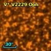 V* V2229 Oph
