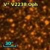 V* V2238 Oph