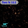 Terz N  111