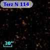 Terz N  114