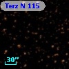 Terz N  115