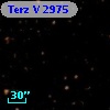 Terz V 2975