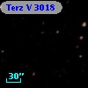 Terz V 3018