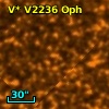 V* V2236 Oph