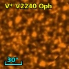 V* V2240 Oph