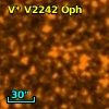 V* V2242 Oph