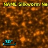 NAME SILKWORM NEBULA