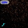 LDN  130