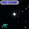 NSV 13560