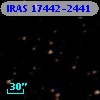 IRAS 17442-2441