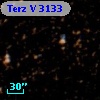 Terz V 3133
