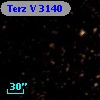 Terz V 3140