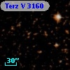 Terz V 3160