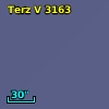 Terz V 3163