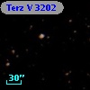 Terz V 3202