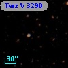 Terz V 3290
