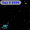 Terz V 3334