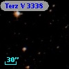 Terz V 3338
