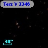 Terz V 3348