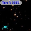 Terz V 3375