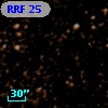 RRF   25