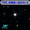 TYC 4460-1614-1