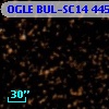 OGLE BUL-SC14 445742