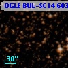 OGLE BUL-SC14 603345