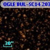 OGLE BUL-SC14 203462