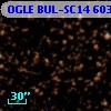 OGLE BUL-SC14 603326