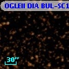 OGLEII DIA BUL-SC14    497