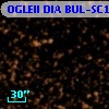 OGLEII DIA BUL-SC14    498