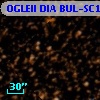 OGLEII DIA BUL-SC14    508