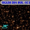 OGLEII DIA BUL-SC14    672