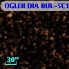 OGLEII DIA BUL-SC14    855