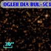 OGLEII DIA BUL-SC14    895