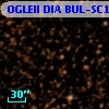 OGLEII DIA BUL-SC14   1003