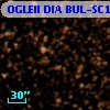OGLEII DIA BUL-SC14   1181