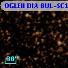 OGLEII DIA BUL-SC14   1195